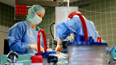 Gewebespendestatistik 2022