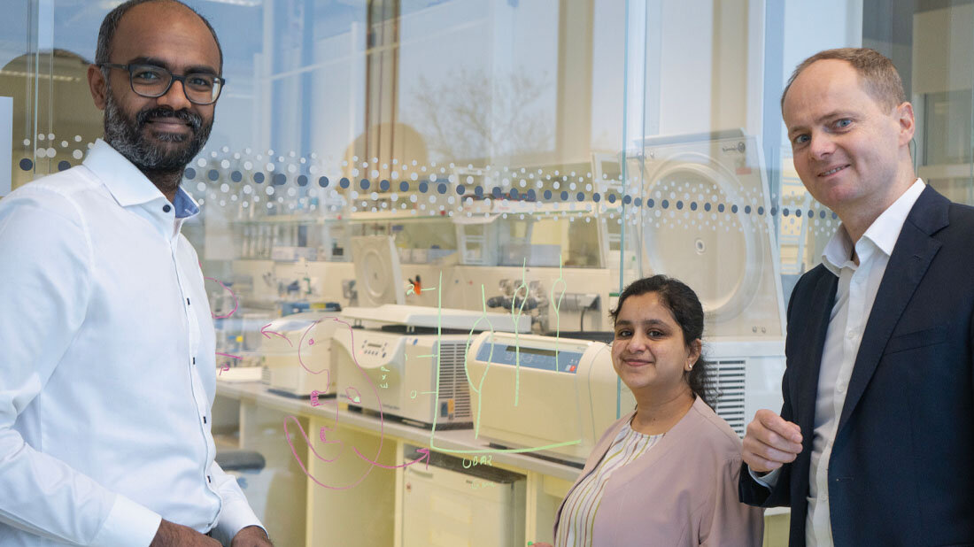 Institutsdirektor Prof. Dr. Malte Spielmann und die wissenschaftlichen Mitarbeitenden Saranya Balachandran und Dr. Varuun Sreenivasan (v. r.) 