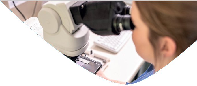 Person arbeitet mit einem Mikroskop im Labor