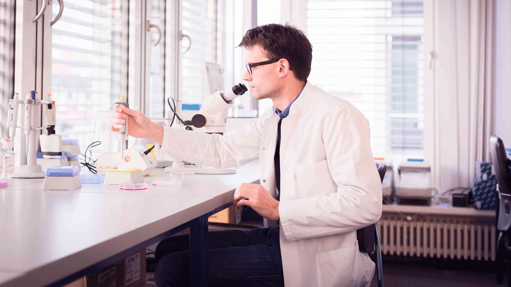 1622136.gif T-Zellen