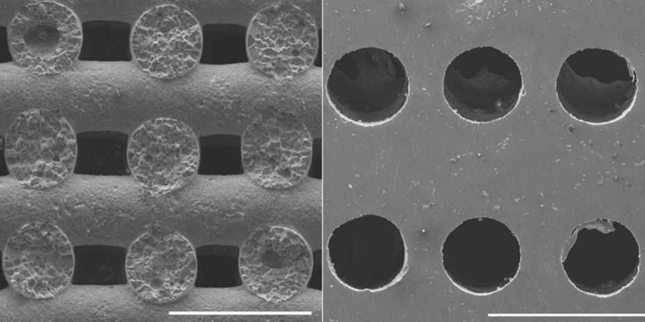 3D_gedrucktes_Salzgeruest__ETH_Zuerich.jpg 3D-gedrucktes Salzgerüst