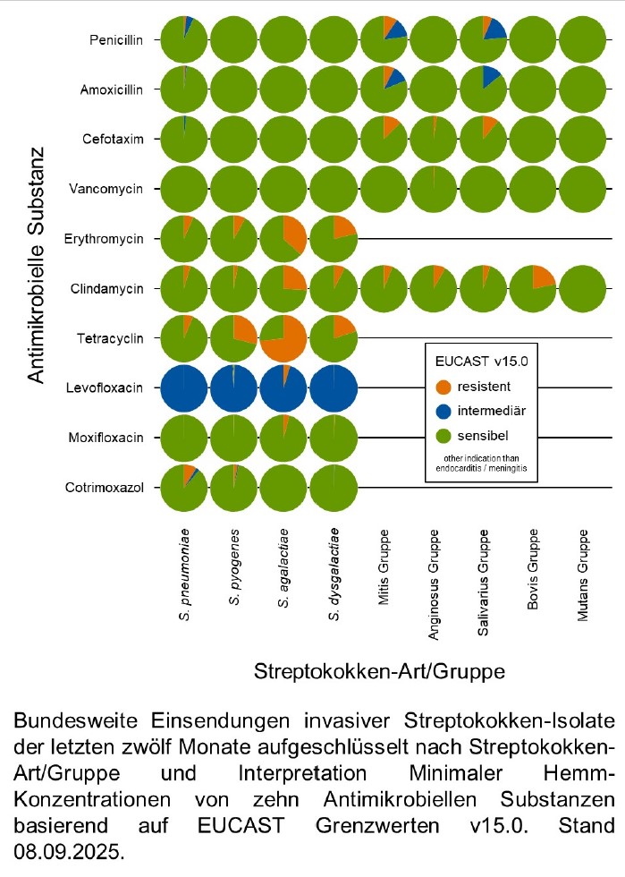 Aufschlüsselung der Antibiotikaresistenzen der Streptokokken in Deutschland.