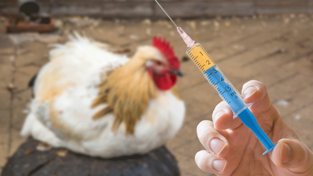 AdobeStock_109807518.gif Reserveantibiotika