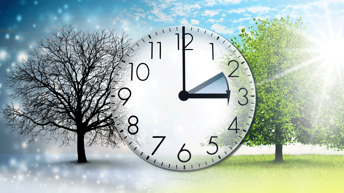 Das Bild symbolisiert den Wechsel der Jahreszeiten und die Zeitumstellung. Links ist ein kahler Baum im Winter dargestellt, rechts ein blühender Baum im Sommer. Die Uhr in der Mitte zeigt die Umstellung der Zeit, was auf die Sommer- und Winterzeit hinweisen könnte.