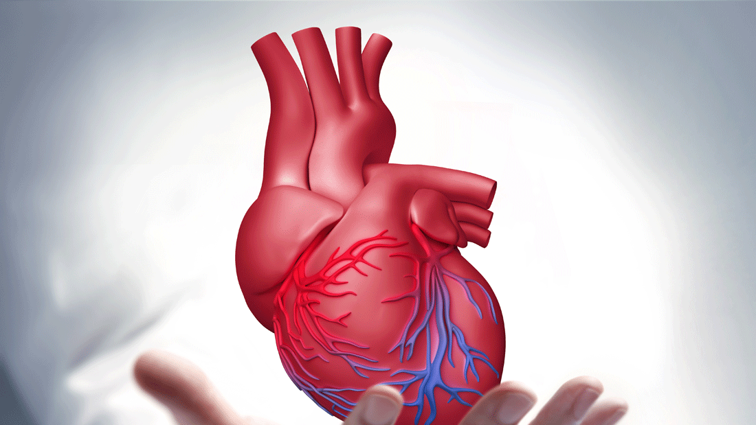 Das Bild zeigt ein stilisiertes menschliches Herz, das über einer geöffneten Hand schwebt.