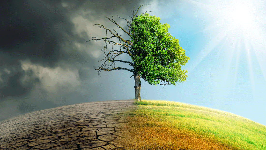 Klimawandel AdobeStock_162762393.gif