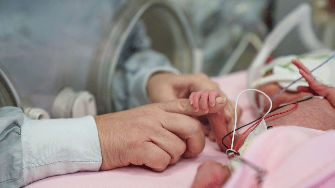 AdobeStock_1635052067.gif Eine erwachsene Hand hält behutsam die Hand eines Frühgeborenen im Inkubator. Kabel und Sensoren zeigen die intensivmedizinische Versorgung des Neugeborenen.