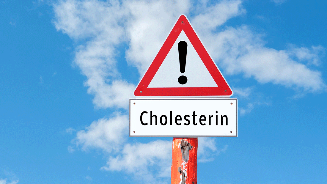 Warnschild mit Ausrufezeichen und Zusatzschild „Cholesterin“ vor blauem Himmel