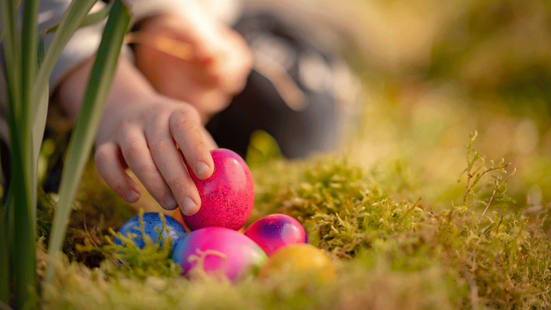 Ostereier AdobeStock_335903835.gif