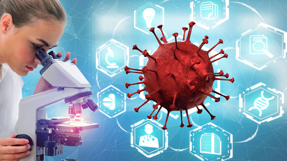 Coronavirus: Antikörper