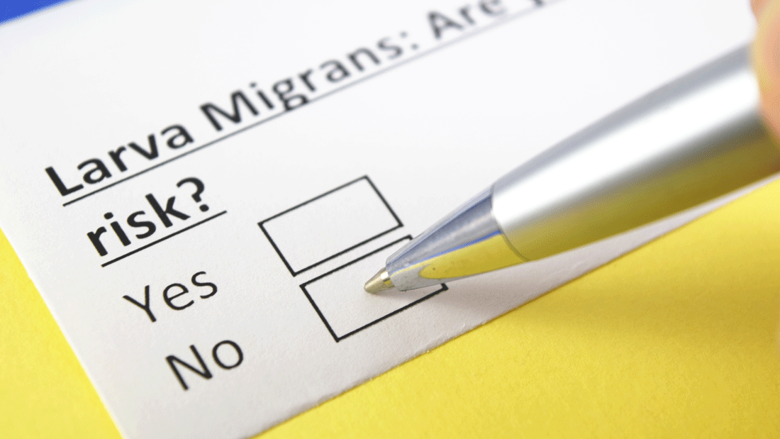 Nahaufnahme eines Formulars mit der Frage nach „Larva migrans“-Risiko. Ein Kugelschreiber zeigt auf ein Ankreuzfeld bei „Yes“ oder „No“ – Symbol für medizinische Risikoabklärung.