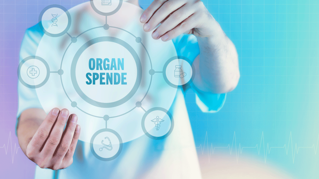 Organspende: Ein Arzt hält ein virtuelles Interface mit Text und Icons im Kreis.