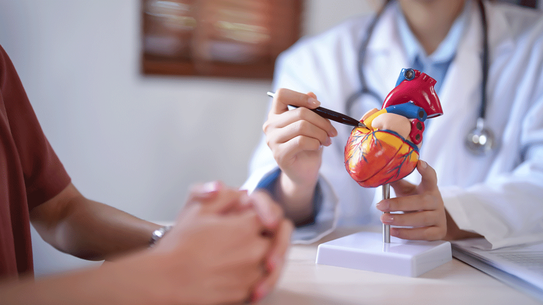 Dieses Bild zeigt eine medizinische Fachkraft, die mithilfe eines Modells die Anatomie des menschlichen Herzens erklärt. Die Person deutet mit einem Stift auf bestimmte Bereiche des Herzens, vermutlich im Rahmen einer Beratung oder einer Schulung.