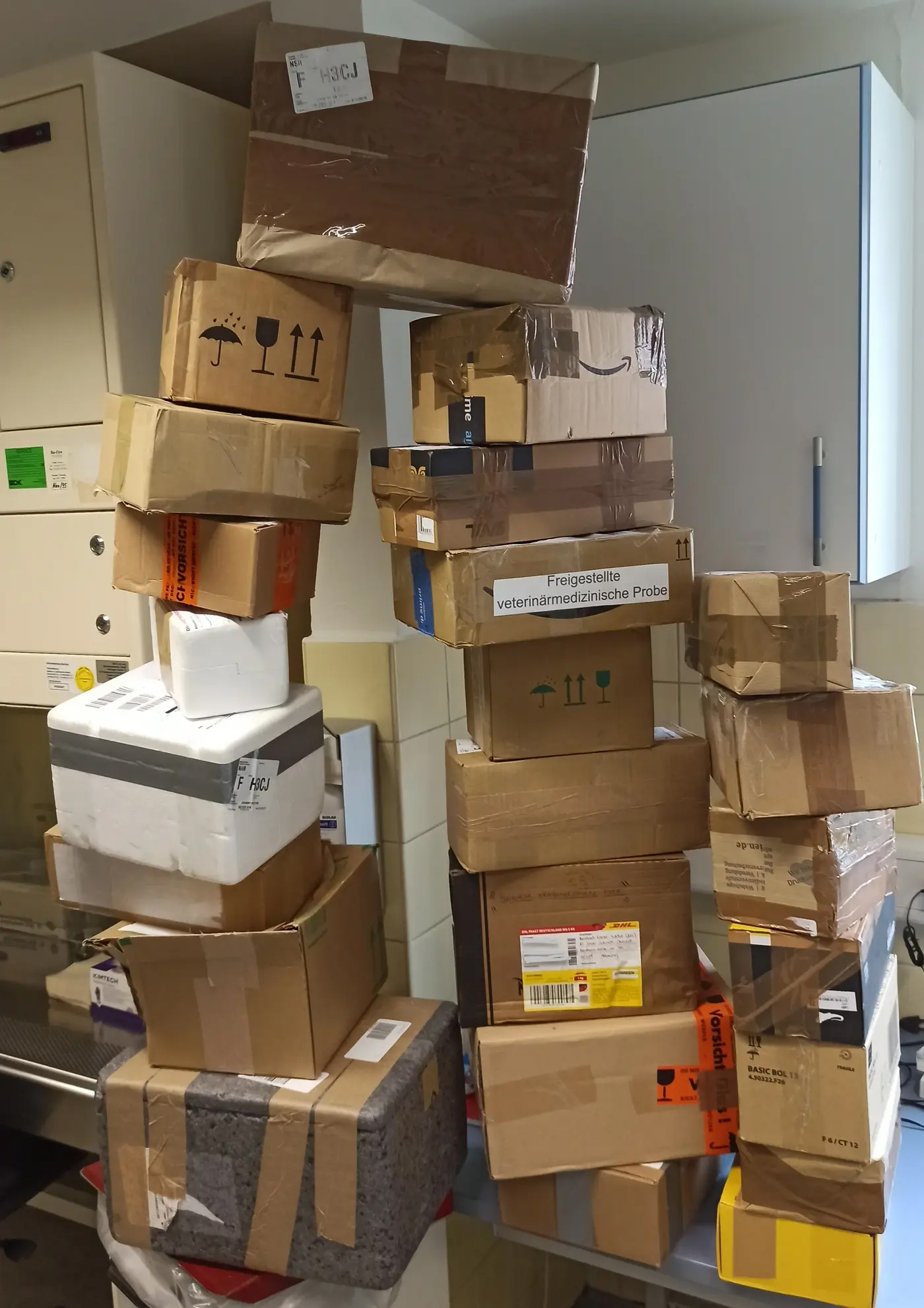 Amsel-Einsendungen eines Tages beim BNITM