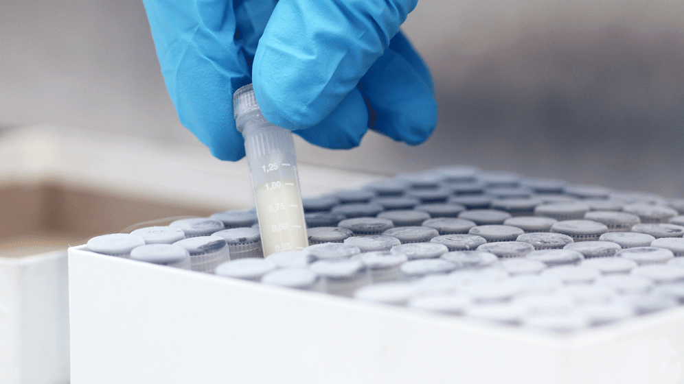 Antibiotikaresistenzen