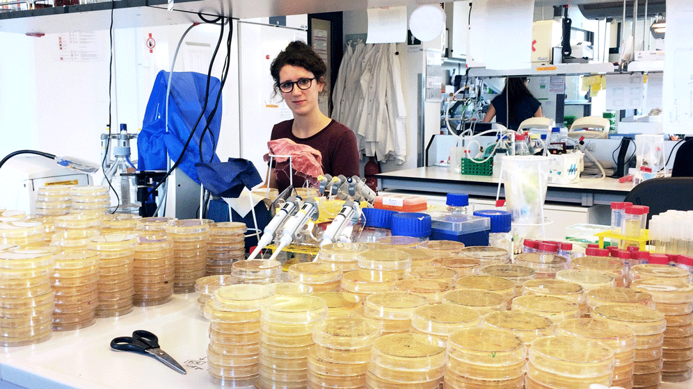 Antibiotikaresistenz