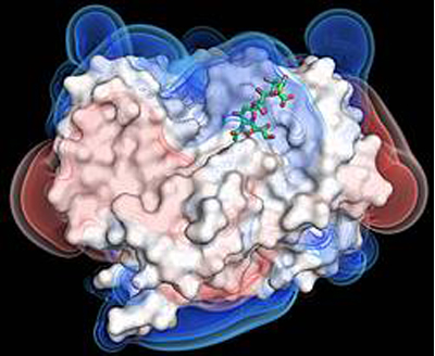 Bindungstasche_im_Detail_mit_elektrischen_Feldlinien.jpg Bindungstasche im Detail