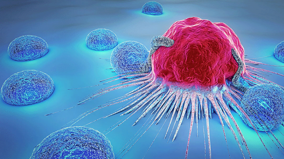 csm_Krebszelle-und-Lymphozyten_8c04985e80.gif Radiopharmaka