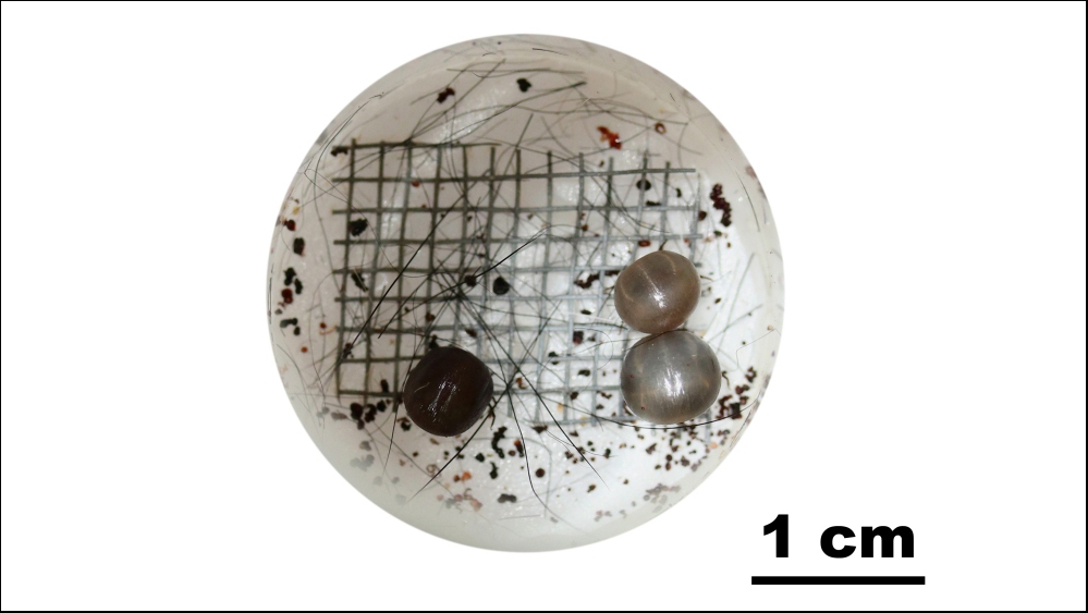 Künstliches Fütterungssystem 