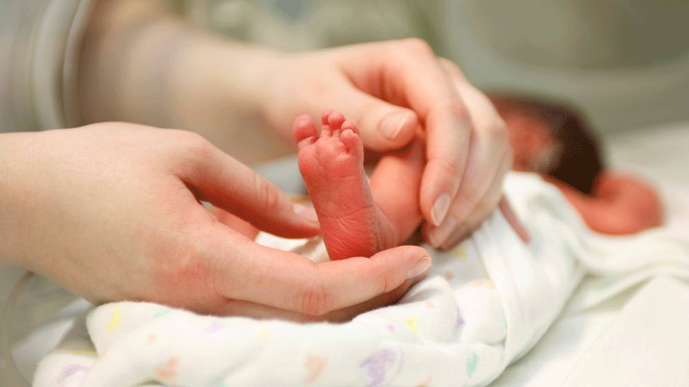 Fruehchen.gif Frühchen