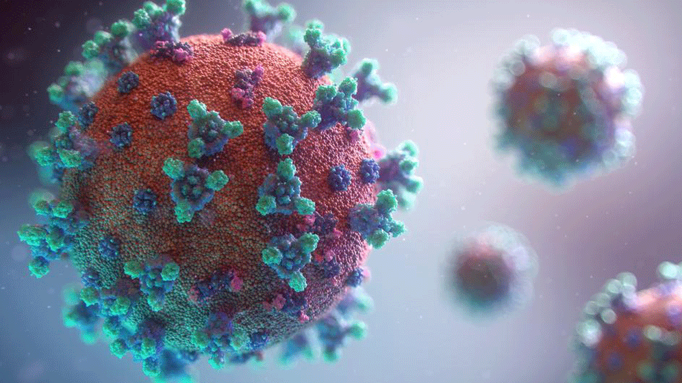coronVirus_20fusion-medical-animation.gif Coronavirus