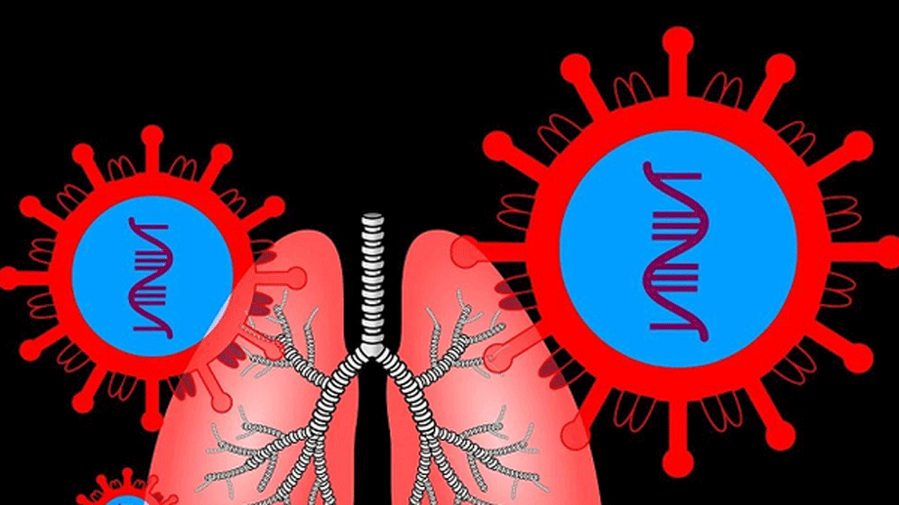 Lungenultraschall-Protokoll