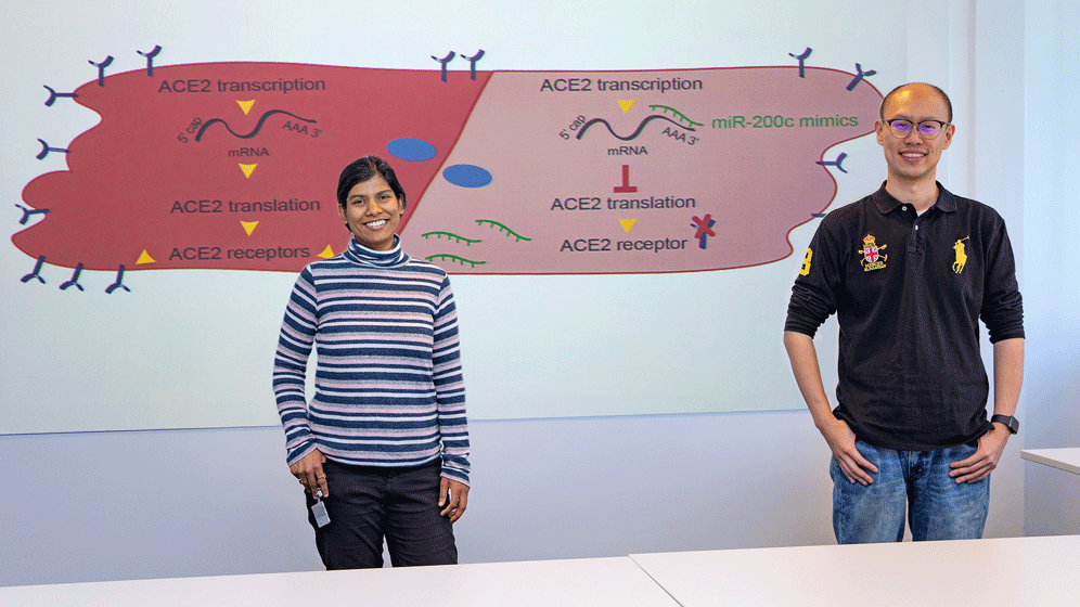 COVID-19-Infektion im Herz