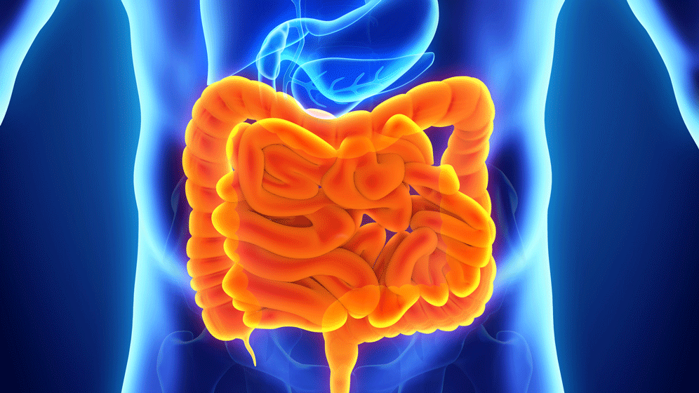 nerthuz-stock.adobe.com.gif Familiäres Darmkrebsrisiko