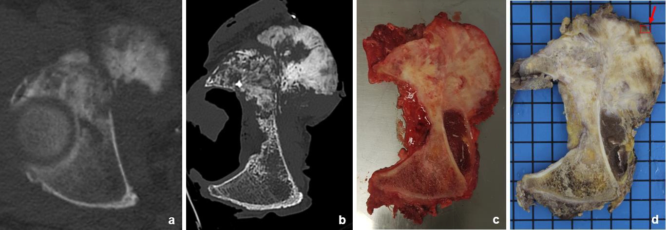 Vergleichende Visualisierung 