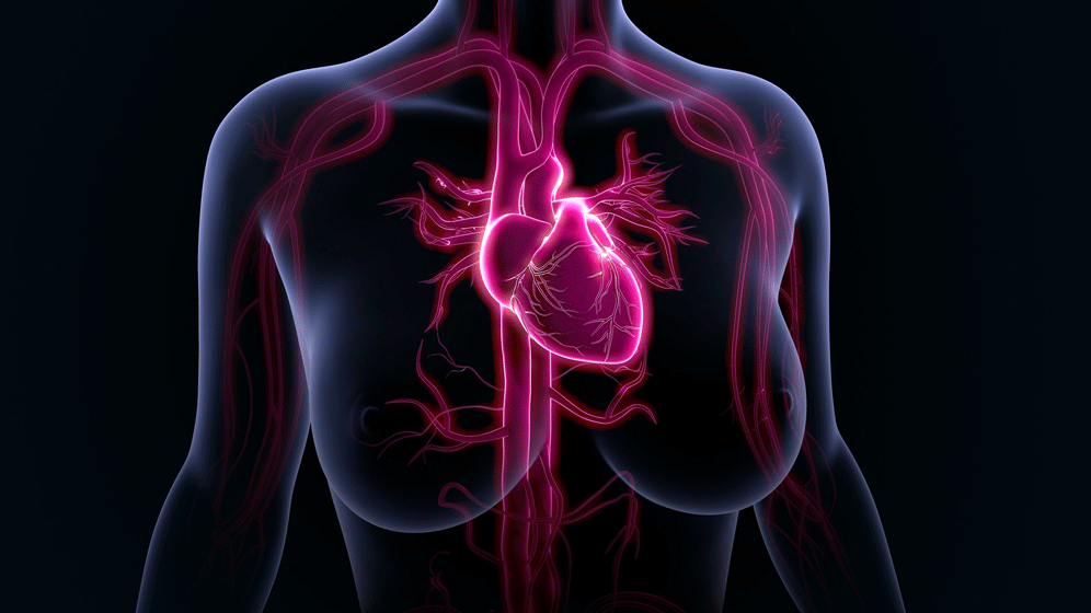 13. Deutsche Kardiodiagnostik-Tage