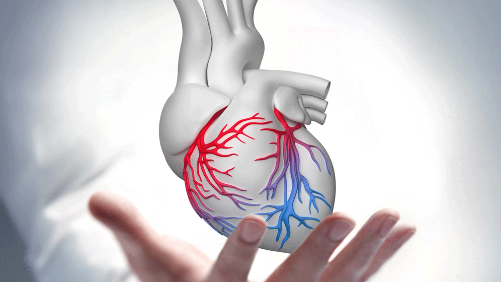 AdobeStock_143444726.gif Corona. Herztransplantationen