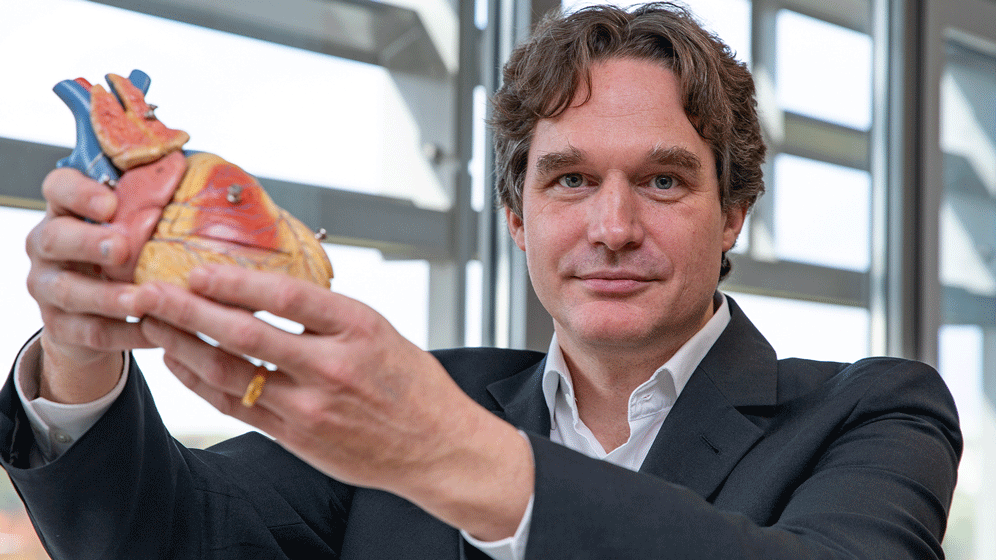 Regulation des Herzschlags