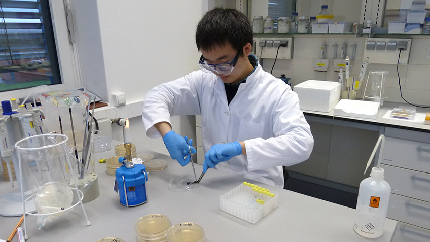 Wirkstoff Hautkrebs Bicheng Fan