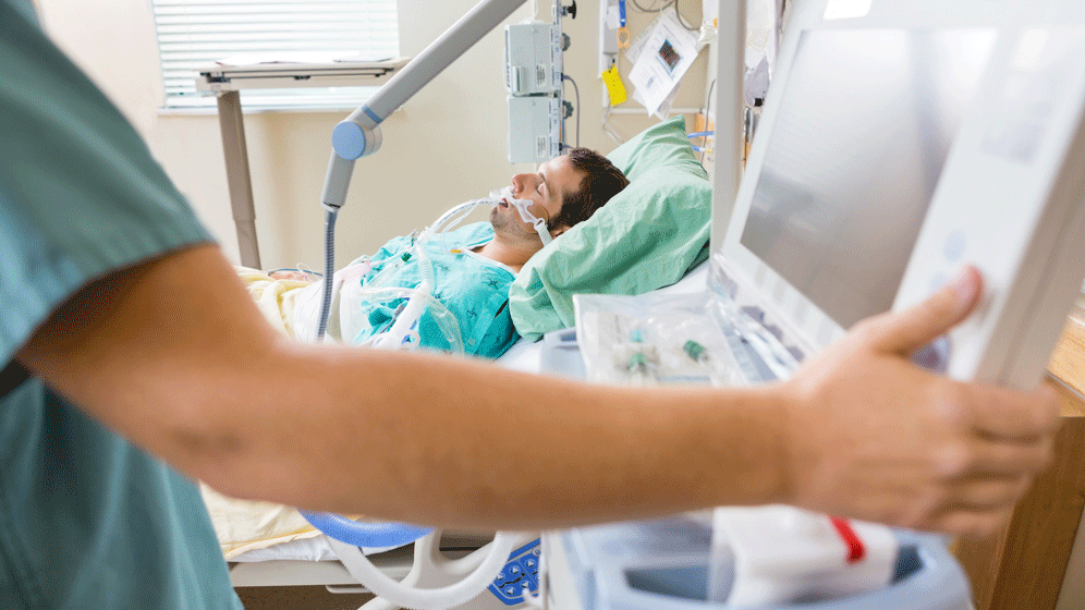 Tyler Olson – Fotolia