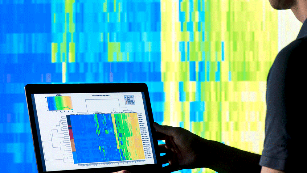 Künstliche Intelligenz