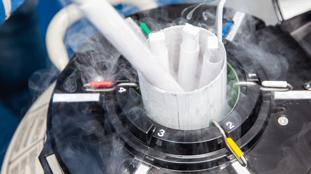 AdobeStock_179472559.gif Samenspender-Register