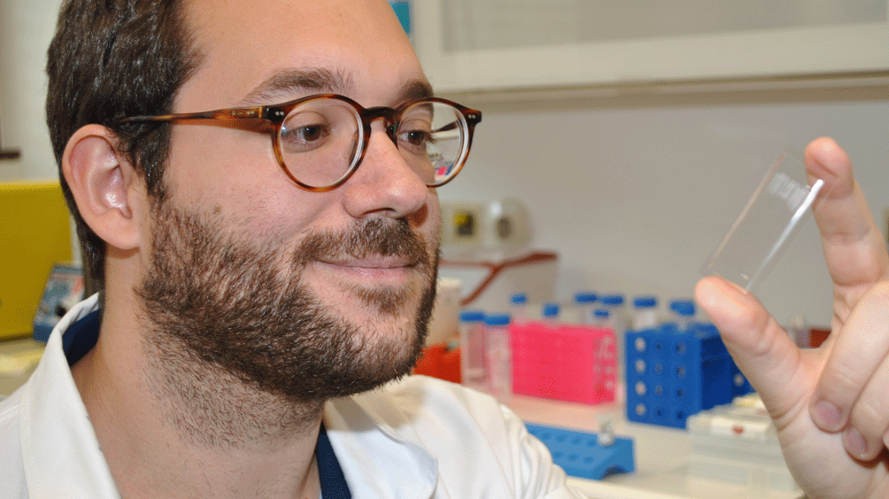 newsimage304734.gif Schnelltests