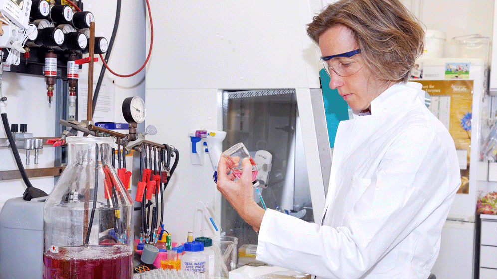 newsimage339175.gif haeen