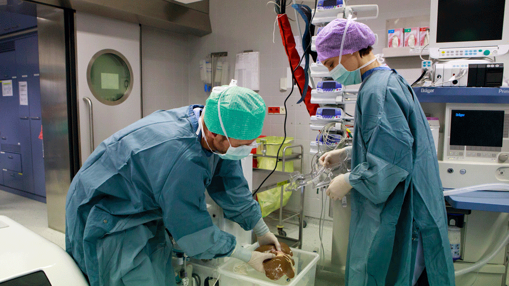 METRA_Presse_1.gif METRA