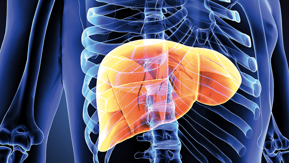 Therapieentscheidung verbessern