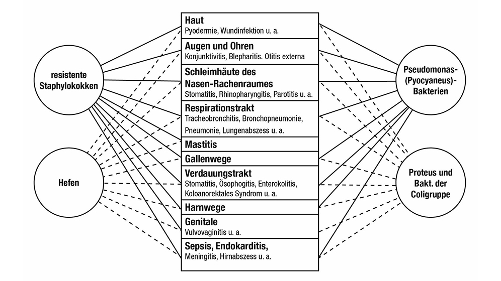 Infektionswechsel und Superinfektionen