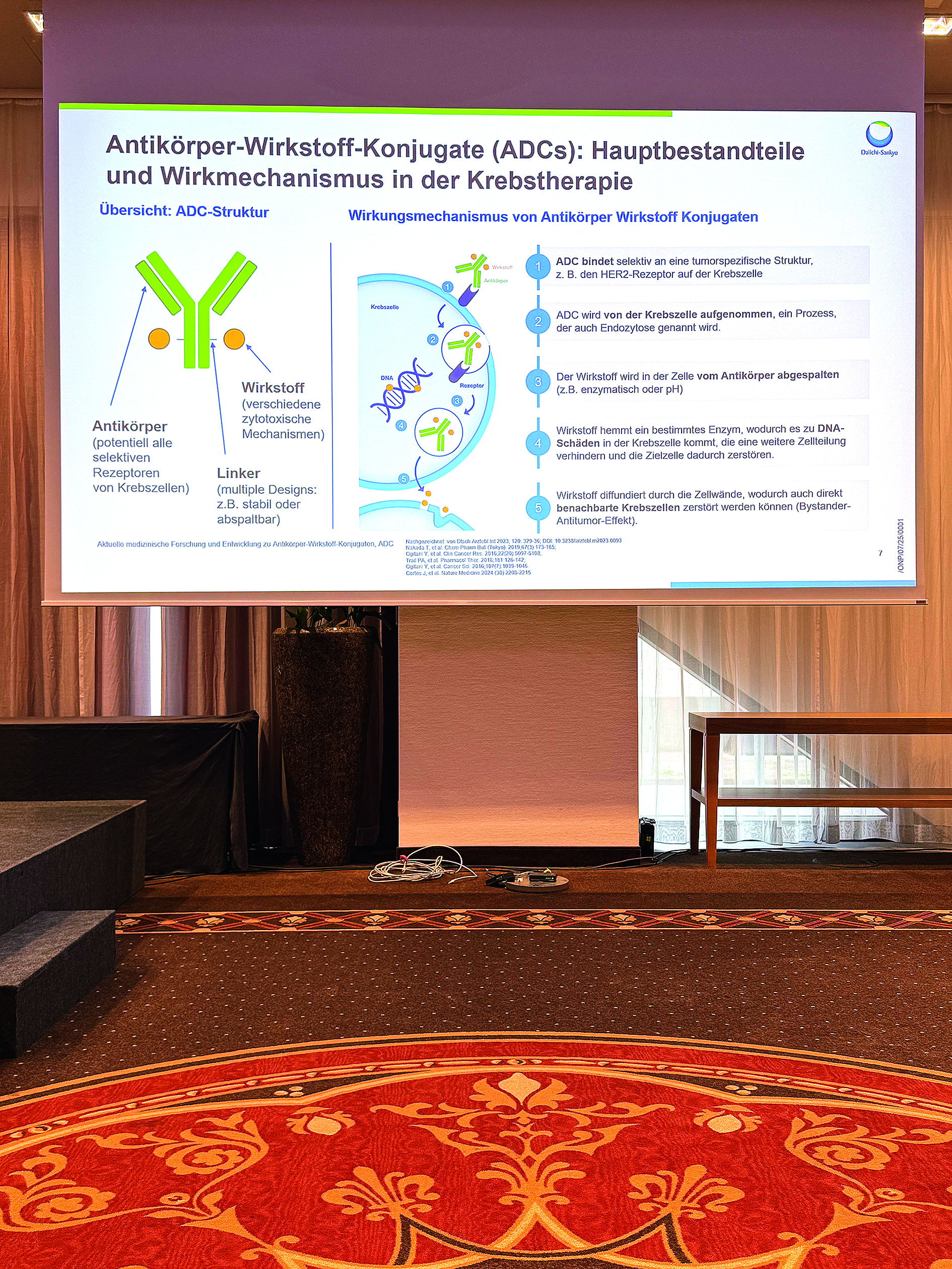 Foto des Schemas von Prof. Dr. Kosch