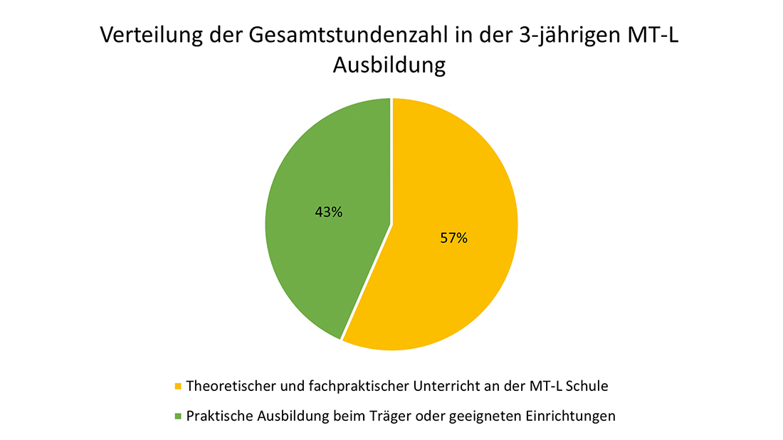 Diagramm zur Verteilung der Unterrichtsstunden