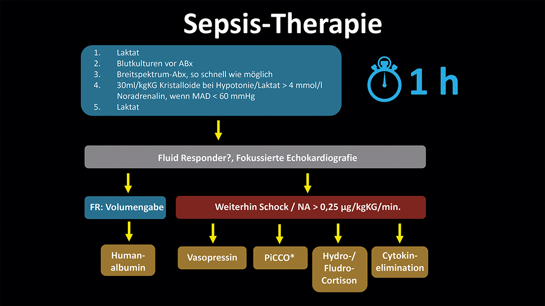 Therapieschema bei Sepsis