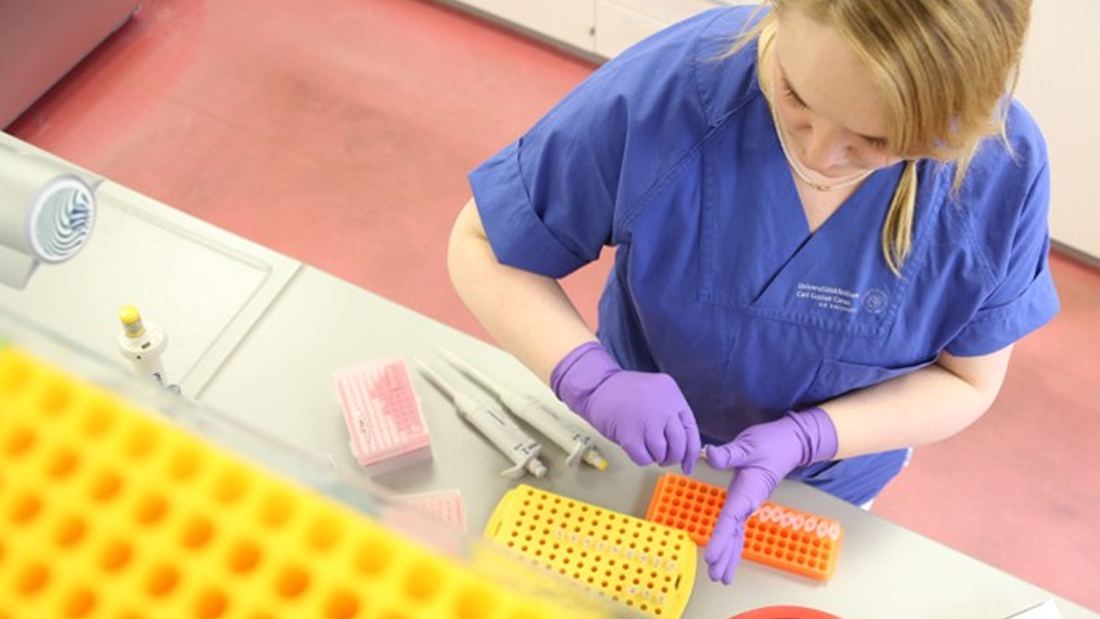 Bild aus der BioBank Dresden.