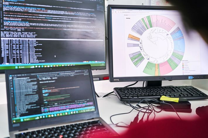 Große Herausforderung für die Bioinformatik.