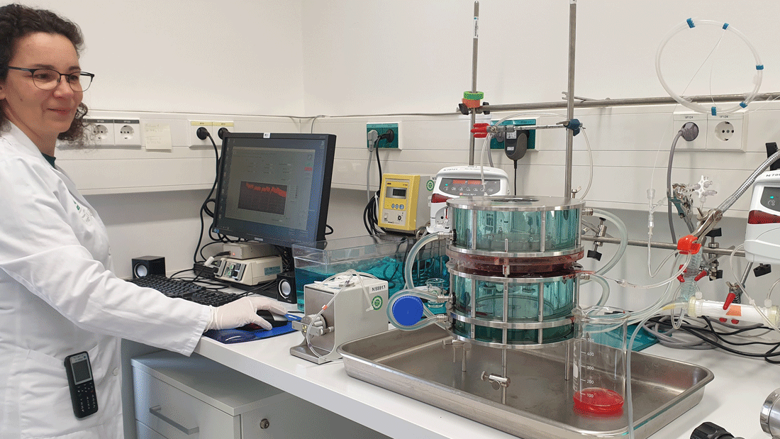 Birgit Hirschmugl im Labor