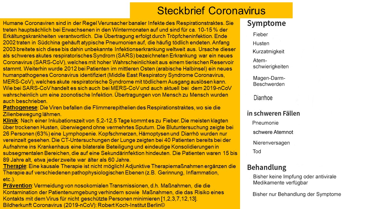 Steckbrief 2019-nCoV