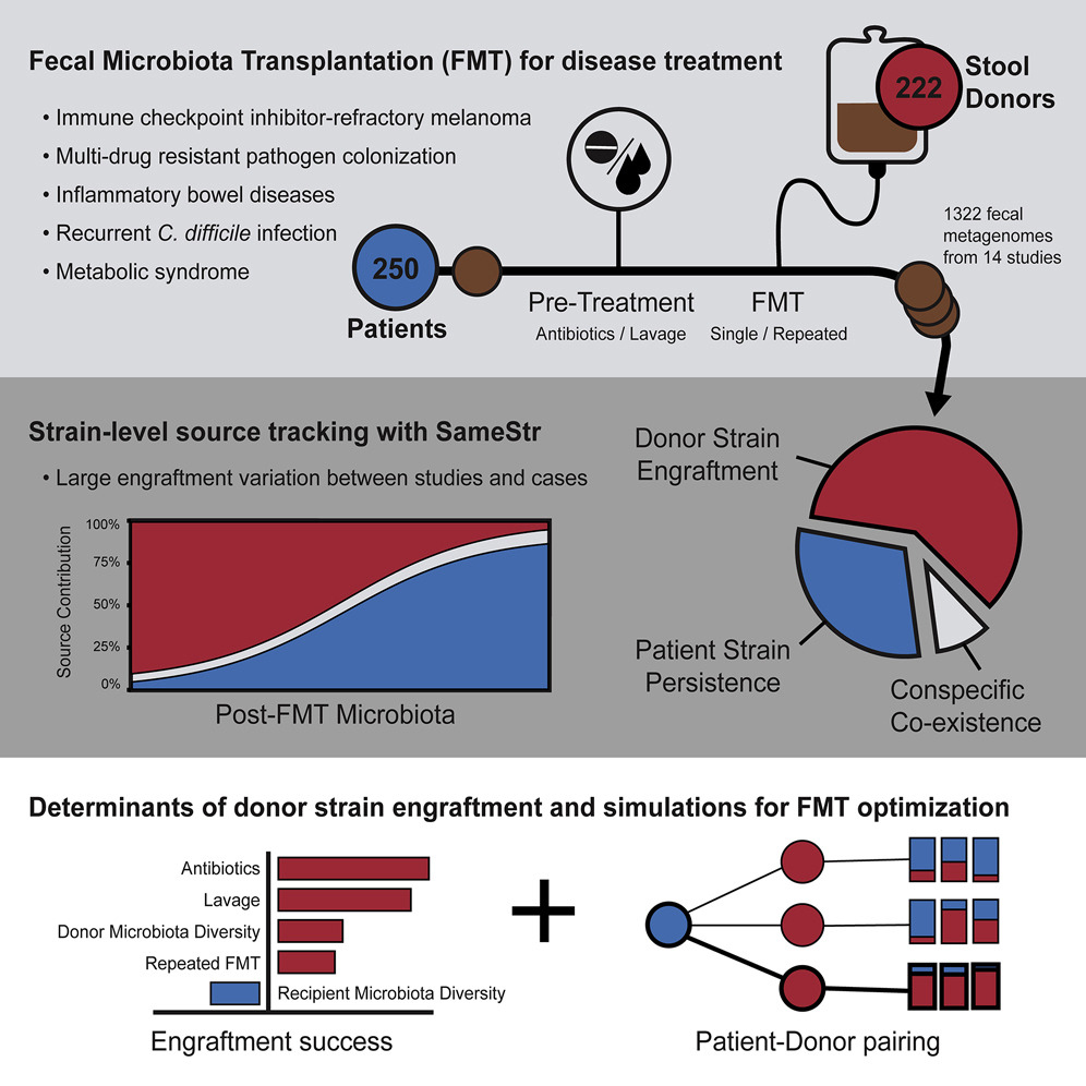Stuhltransplantation