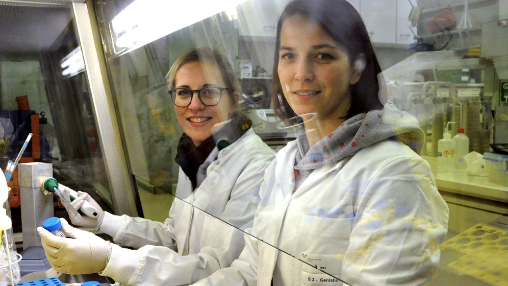 T. Graalmann und K. Borst 